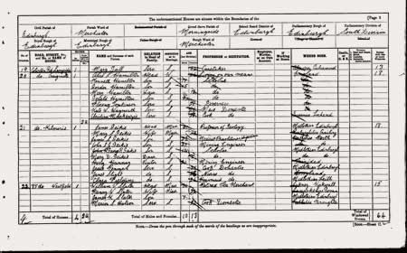 Scottish census 1901
