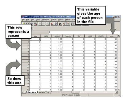 spss data view