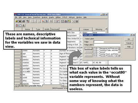 spss variable view