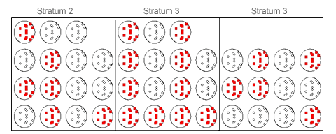 strata