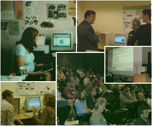 Exploring ORMs | Project background | The process