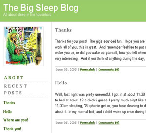 Decorative image of 'The Big Sleep Blog' showing a post outlining how a contributor slept the previous night alongside a thank-you post.
