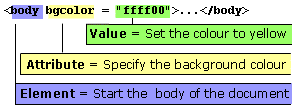 <body bgcolor = "ffff00"> ...</body> Element (<body></body>) = Start the  body of the document, Attribute (bgcolor = ) = Specify the background colour, Value ("ffff00") = Set the colour to yellow