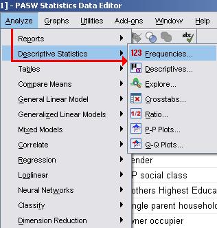 SPSS Menu Cascade