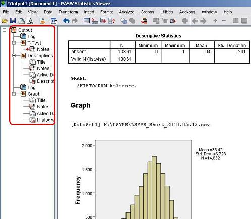 SPSS Output Window