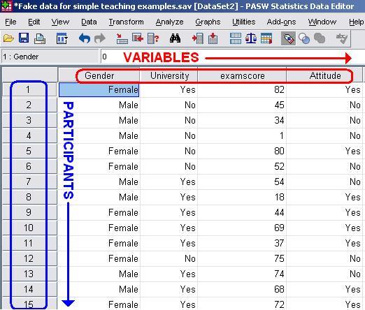 SPSS Data Entry Window