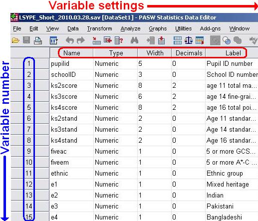 SPSS Variable Editor View