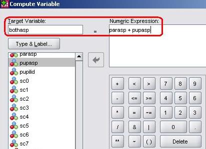 SPSS Compute Window