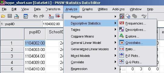 SPSS crostab instructions