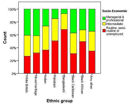 SEC by Ethnicity