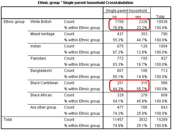 Module 2 Exercise Question 2 Ethnicity by singleparent crosstab